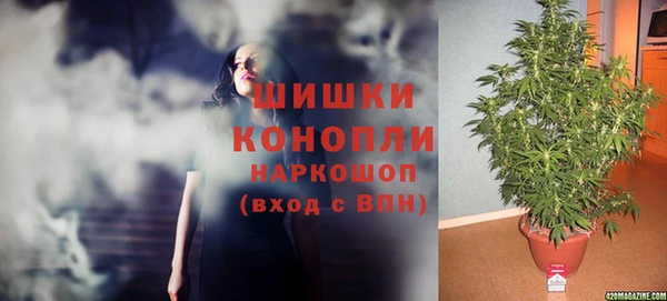 стафф Пролетарск