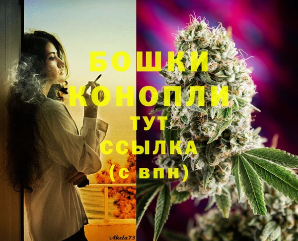 стаф Протвино