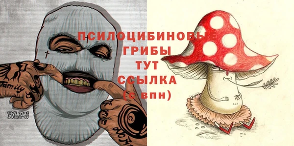 стафф Пролетарск