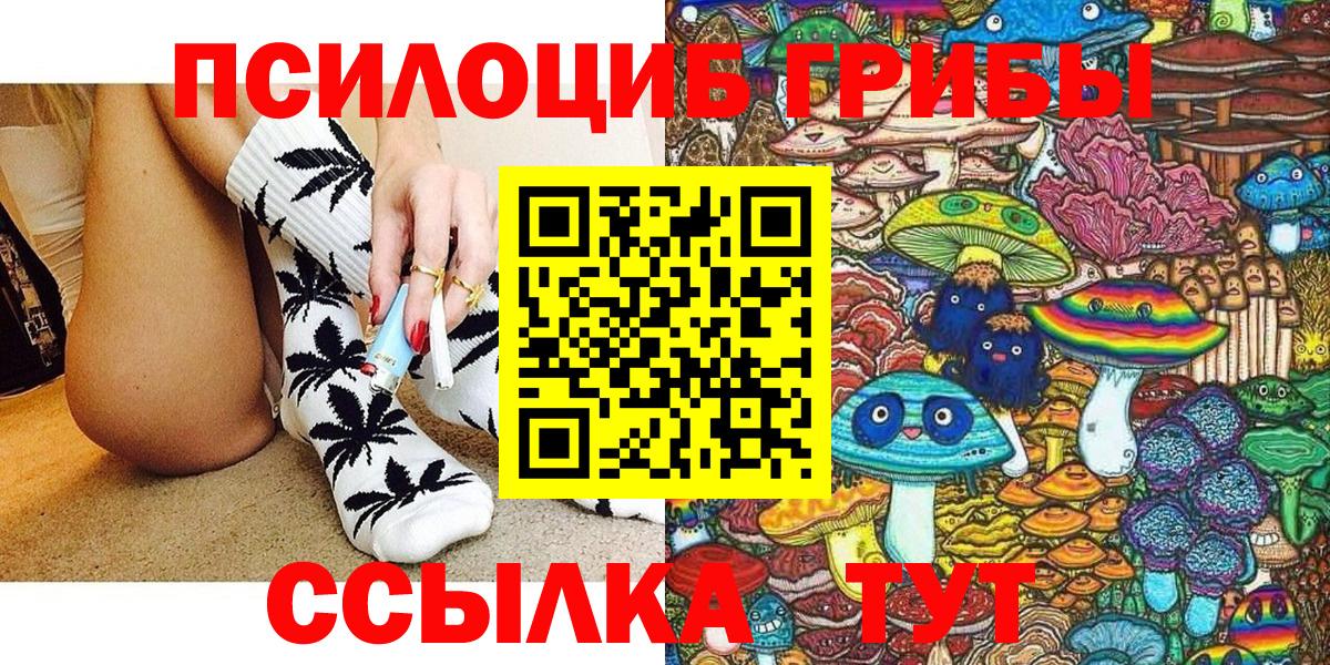 Красный Сулин  закладки  Вход с VPN  Псилоцибиновые грибы MAGIC MUSHROOMS 