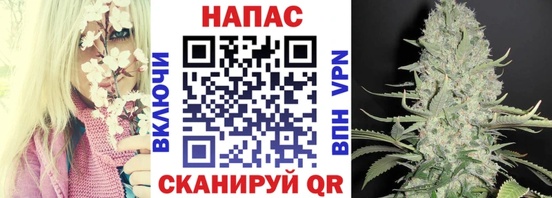 Бошки марихуана планчик  где купить наркотик  Красный Сулин 
